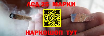 шишки Усть-Илимск