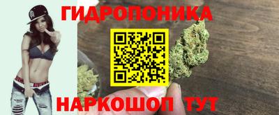 шишки Усть-Илимск