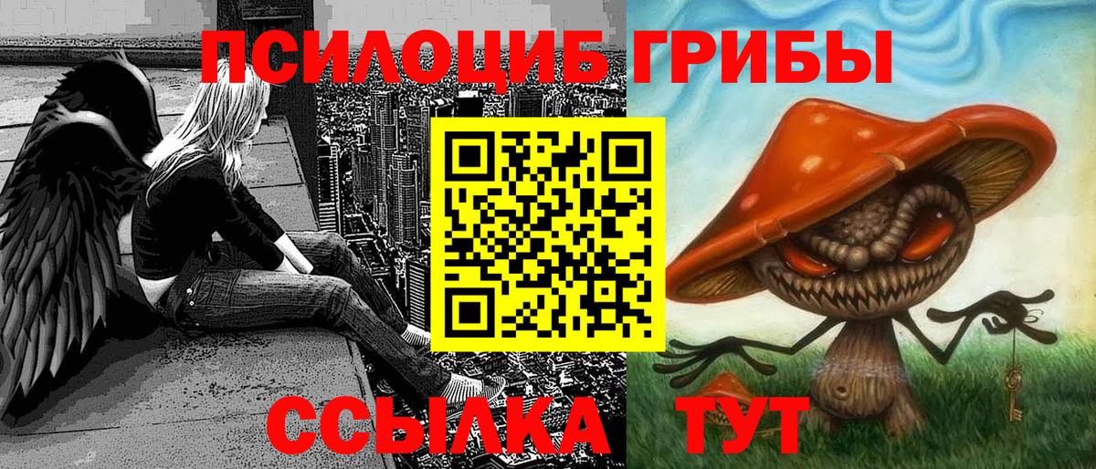 Псилоцибиновые грибы MAGIC MUSHROOMS  Галлюциногенные грибы Psilocybine cubensis  Вход с VPN  Липецк 