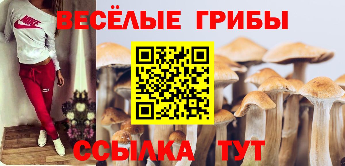 Псилоцибиновые грибы прущие грибы Липецк
